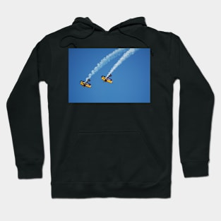 Biplanes Hoodie